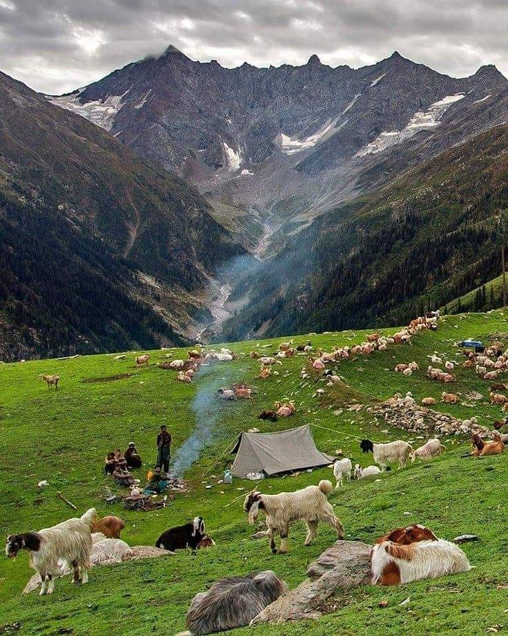 Pakistan